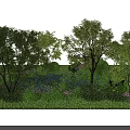 Lush Green Garden Landscape With Various Trees Grass And Colorful Flowers