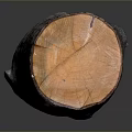 Wooden Stump Decorative Piece With Natural Bark Texture For Home Decor