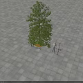 Arbor With 8 Meters Height On Paved Ground Circular Flower Bed Green Grass Red Flowers