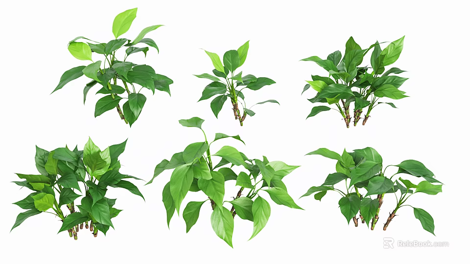 Multiple Lush Green Potted Plants with Fresh Leaves for Indoor Decor 3d model 