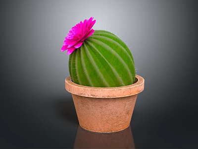 Vibrant Green Round Cactus with Pink Flower in Decorative Brown Terracotta Pot 3d model