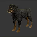 Rottweiler Dog With Black Tan Coat Standing On Reflective Floor Realistic 3D Rendering