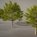 Cartoon Scenery Featuring Three Green Trees Brown Trunks And Shadows On Gray Background 3d model