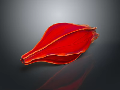 Red Flower Petal With Yellow Veins On Dark Reflective Surface 3d model