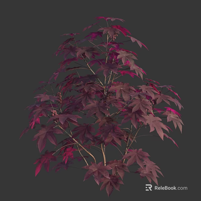 Vibrant Shrub With Purple Red Leaves And Lush Branches Against Dark Background 3d model 