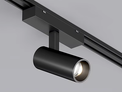 Black Track Mounted Downlight Spotlight With Bright Adjustable Lighting For Home Interior 3d model