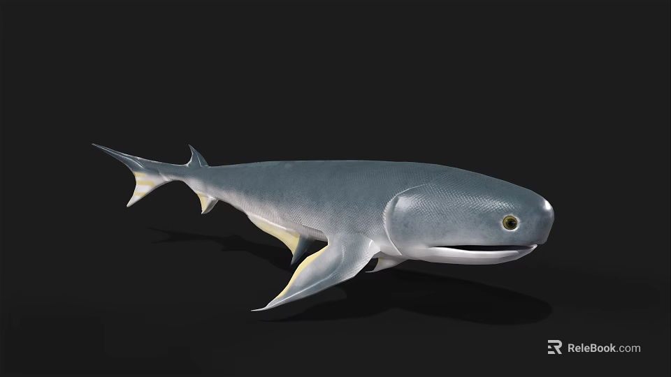 Detailed Gray Shark With Yellow Fins Smooth Body And Lifelike Aquatic Animal Eyes 3d model 