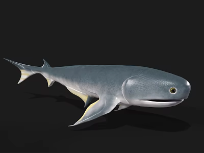 Spinefish herring ancient animals millet herring extinct animals primitive animals 3d model