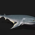 Detailed Gray Shark With Yellow Fins Smooth Body And Lifelike Aquatic Animal Eyes