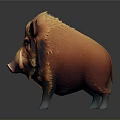 Realistic Wild Boar With Orange Red Fur And White Tusks Standing On Dark Background