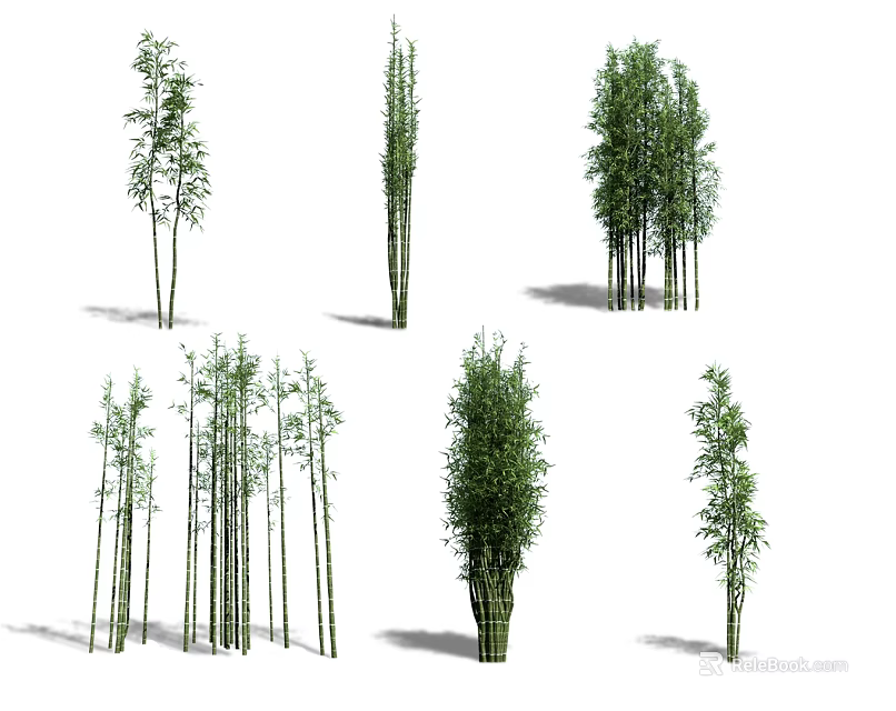 Diverse Bamboo Plants Displaying Various Heights Clusters and Lush Green Foliage 3d model 