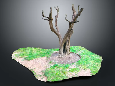 Bare Tree With Thick Trunk Surrounded By Green Grass And Exposed Soil 3d model