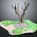 Bare Tree With Thick Trunk Surrounded By Green Grass And Exposed Soil