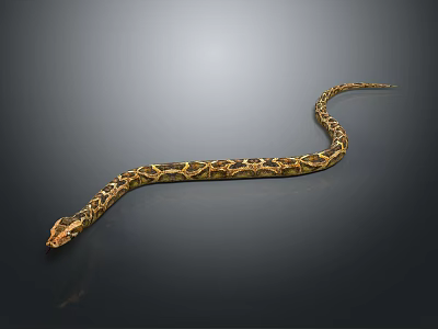 Striking Yellow And Black Patterned Snake With Curved Body On Dark Background 3d model