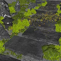 Natural Garden Stepping Stones Path With Green Grass Fallen Leaves And Stone Lanterns