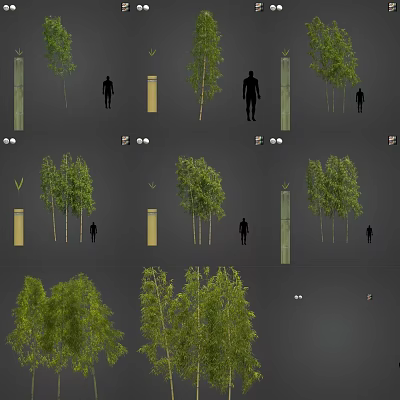 Modern Bamboo Bamboo Forest Trees 3d model Modern Bamboo Bamboo Forest Trees 3d model