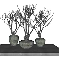 Three Ceramic Vases With Dried Branches On Gray Table White Background 3d model
