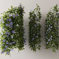 Three Different Decorative Vines with Green Leaves and Purple Flowers