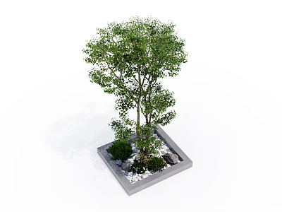 Potted Arbor in Square Planter With Small Shrubs and White Pebbles 3d model