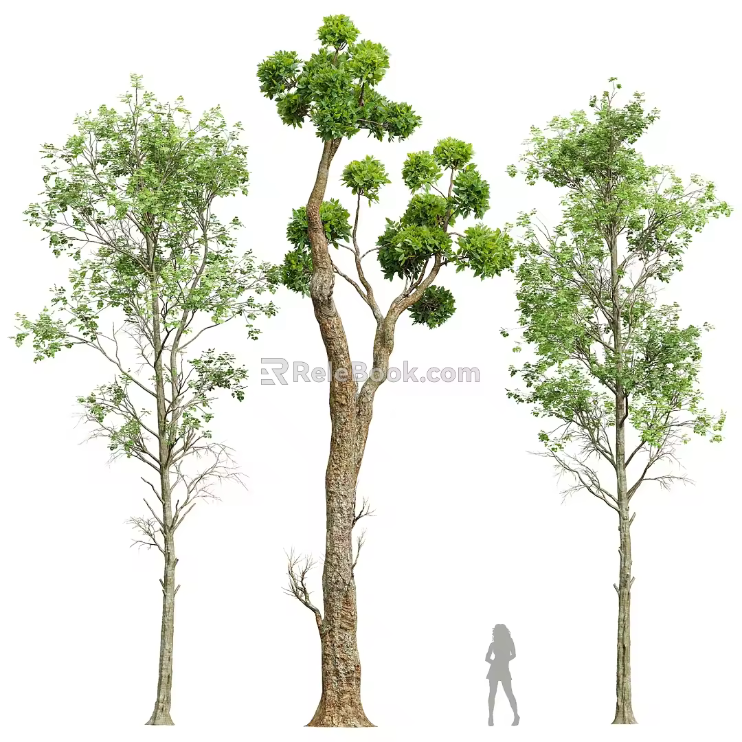 three trees 3d model