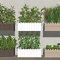 Various Crops Growing in Brown White and Beige Planters Against White Wall and Wooden Floor