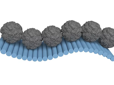 Gray Spheres Placed On Blue Cylinders In Curved Arrangement Decorative Design 3d model