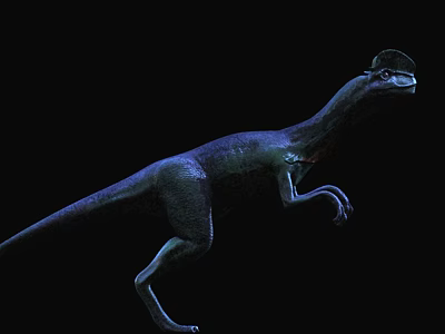 Reptile Dinosaur Model Showcasing Head Crest Blue Color And Dynamic Stance 3d model