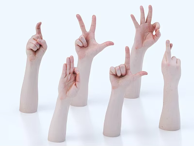 Multiple Human Hands Showing Various Different Gestures On White Background 3d model