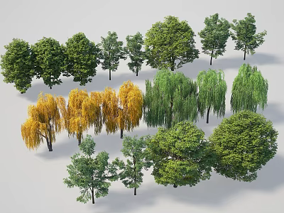 Collection of Various Arbor Trees with Green Yellow Foliage and Different Shapes 3d model