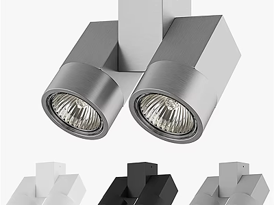 Modern Twin Head Ceiling Light With Multiple Color Options And Sleek Metal Design 3d model