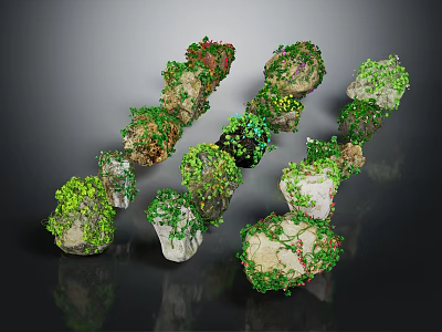 Green Plants Growing On Various Shaped Stones With Diverse Sizes And Textures 3d model