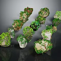 Green Plants Growing On Various Shaped Stones With Diverse Sizes And Textures