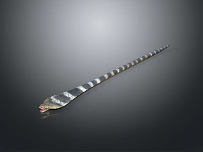 Black and white striped snake with cobra like head stretched on dark background flicking tongue 3d model