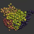 Colorful Grapes Bunch with Red Yellow Green and Purple Fruits on Dark Background