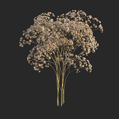 Elegant White Small Flowers Arrangement in Vase with Multiple Stems on Dark Background 3d model