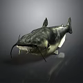 Realistic Fish Figure With Sharp Teeth Long Whiskers Dark Body And Reflection On Gray Background