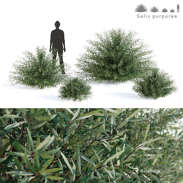 Lush Green Garden Plant Decor With Various Sizes And Fresh Leafy Foliage 3d model 
