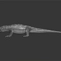 Gray Striped Lizard With Open Mouth And Sharp Claws On Black Background 3d model