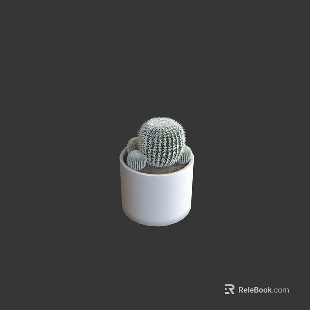 Spiky Cactus Bonsai Plant in White Ceramic Pot for Indoor Decoration 3d model 