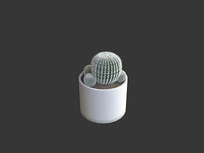 Spiky Cactus Bonsai Plant in White Ceramic Pot for Indoor Decoration 3d model