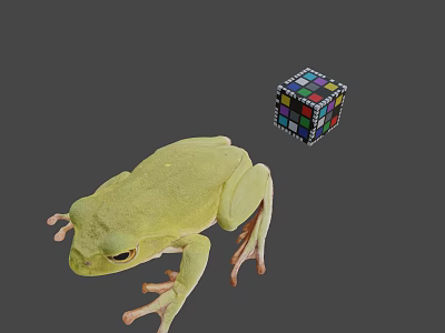 Green Frog With Extended Legs and Colorful Rubik's Cube in Gray Setting 3d model