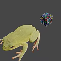 Green Frog With Extended Legs and Colorful Rubik's Cube in Gray Setting