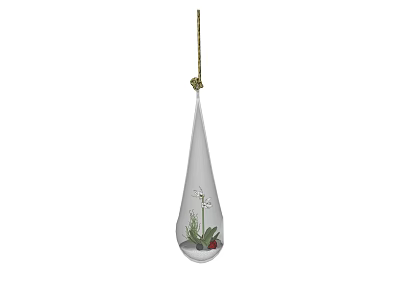 Transparent Teardrop Shaped Hanging Planter With Green Plants And Gold String For Indoor Home Decor 3d model