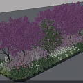 Purple Flowering Arbor Trees With Green Shrubs And White Blooms In Garden Landscape