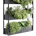 Lush Vertical Garden With Multi Tiered Black Shelves And Various Green Plants
