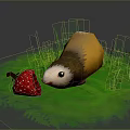 Cute Yellow And White Guinea Pig Sniffing Fresh Strawberry On Green Grass