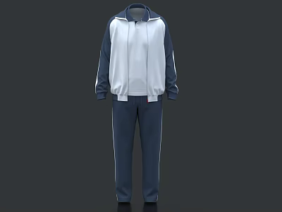 Blue And White Tracksuit With Zip Up Jacket And Striped Pants 3d model