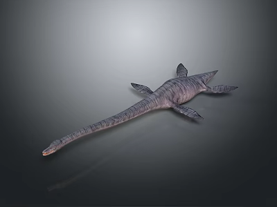 Realistic Plesiosaur Marine Reptile Model With Long Neck And Flippers 3d model