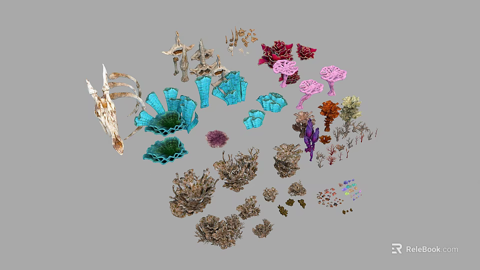 Colorful Coral And Marine Life Models With Various Shapes And Colors 3d model 