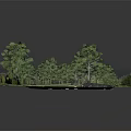 Outdoor Skate Park With Concrete Ramps Blue Areas Grass Trees And Railings